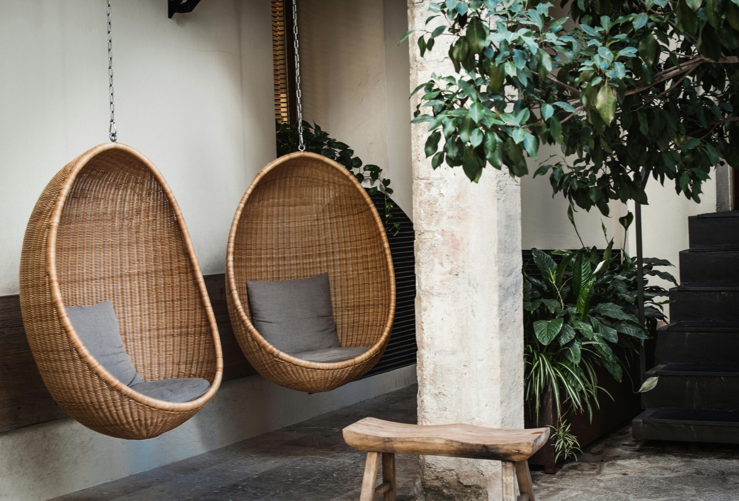 Two woven egg chairs with cushions hanging outdoors surrounded by lush plants.