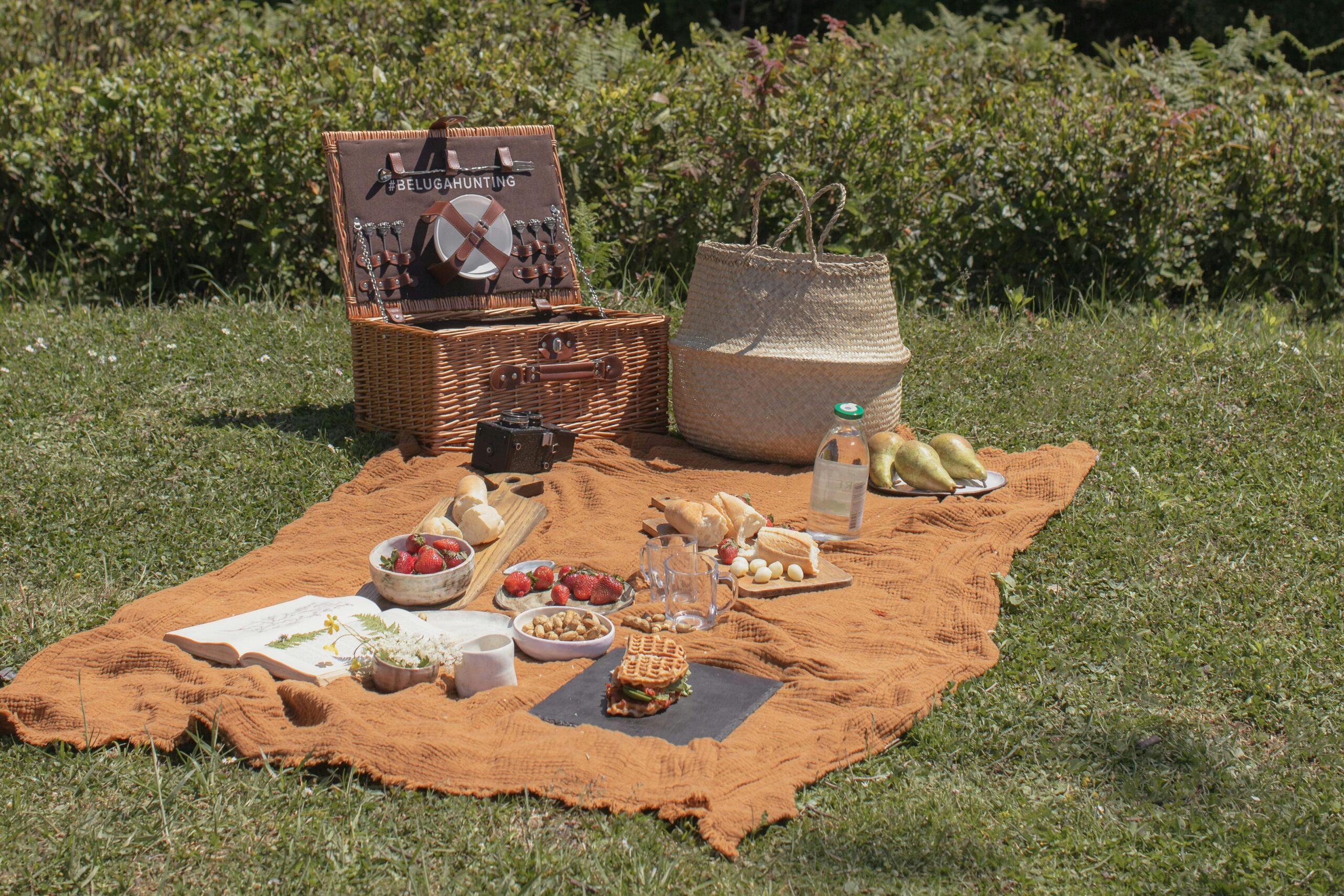 Delightful picnic spread on a colorful blanket in a lush green park setting.
